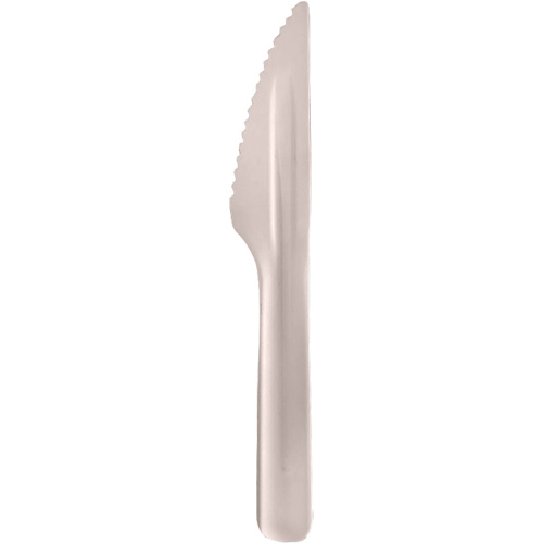 Bagasse Compostable Knives Haskins Industrial Inc.