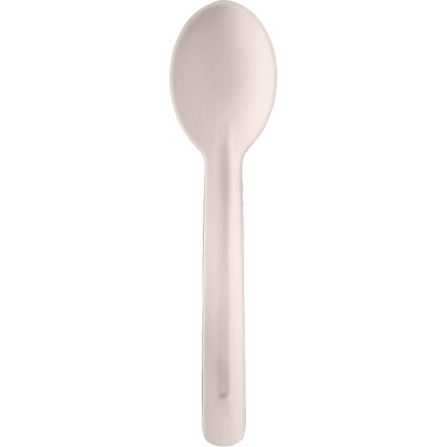 Bagasse Compostable Spoons Haskins Industrial Inc.