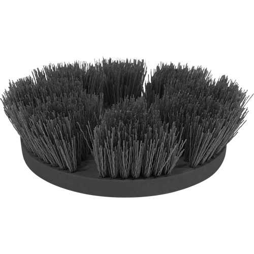 Brosse pour le nettoyage de tuile et coulis Haskins Industrial Inc.