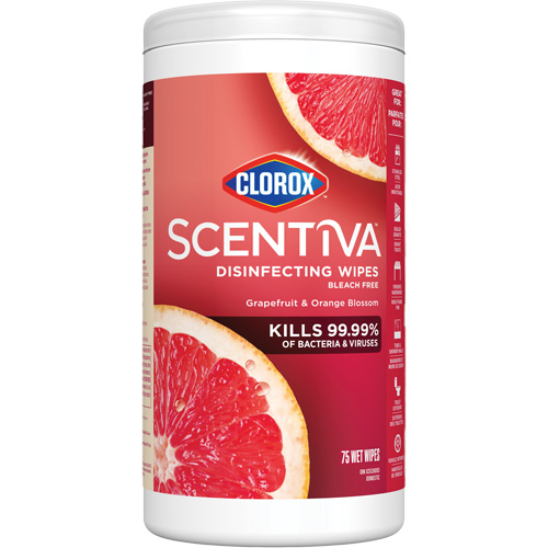 Lingettes d&eacute;sinfectantes, 75 lingettes Haskins Industrial Inc.