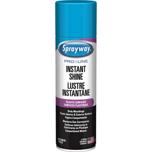 Pro Line Instant Shine for Plastic Surfaces, 11 oz., Aerosol Can Haskins Industrial Inc.