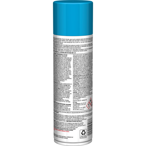 Pro Line Instant Shine for Plastic Surfaces, 11 oz., Aerosol Can Haskins Industrial Inc.