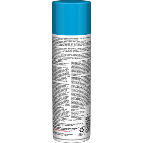 Pro Line Crazy Clean&reg; All Purpose Cleaner, 19 oz., Aerosol Can Haskins Industrial Inc.