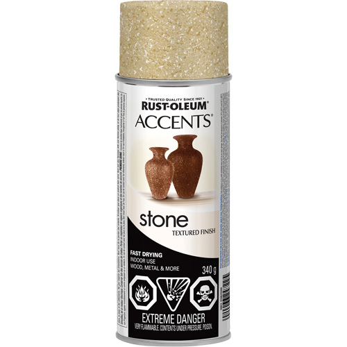 Accents&reg; Stone Creations Spray Paint, Aerosol Can, Bleached Stone Haskins Industrial Inc.