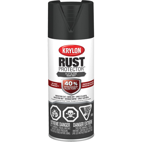 Peinture &agrave; &eacute;mail Rust Protector, Noir, Tr&egrave;s mat, 12 oz, Canette a&eacute;rosol Haskins Industrial Inc.