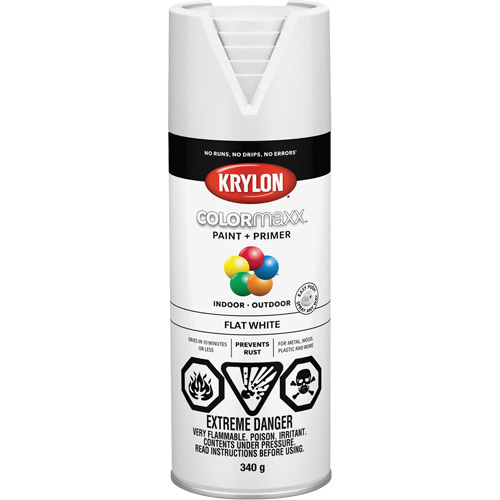 Appr&ecirc;t + peinture COLORmaxx, Blanc, Tr&egrave;s mat, 12 oz, Canette a&eacute;rosol Haskins Industrial Inc.