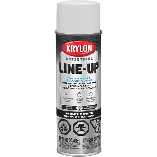 Peinture en a&eacute;rosol industrielle pour le marquage de terrain de gymnastique LINE-UP, Blanc, 18 oz, Canette a&eacute;rosol Haskins Industrial Inc.