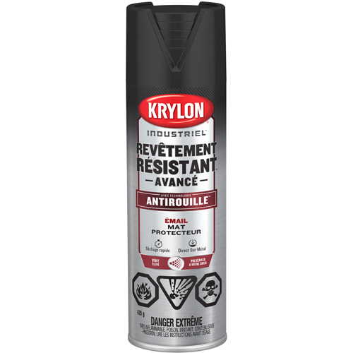 Peinture Tough Coat avec technologie Rust Barrier, Noir, Plat, 425 g, Canette a&eacute;rosol Haskins Industrial Inc.