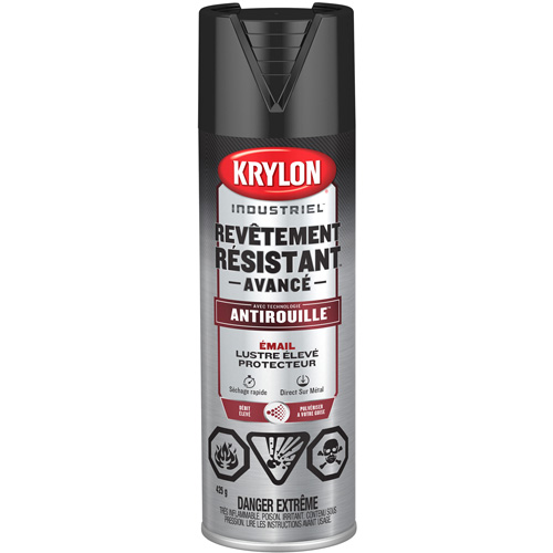 Tough Coat&reg; Advanced Paint with Rust Barrier Technology, Black, High-Gloss, 425 g, Aerosol Can Haskins Industrial Inc.
