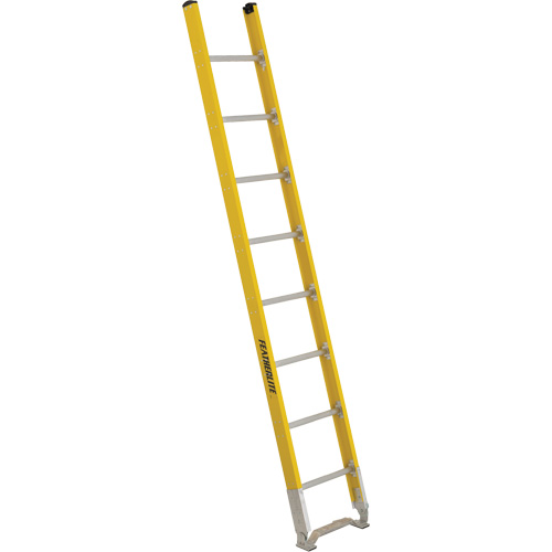 Single Section Straight Ladder - 6100 Series, 8', Fibreglass, 375 lbs., CSA Grade 1AA Haskins Industrial Inc.