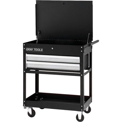Utility Cart, 2 Drawers, 30-1/4" L x 19" W x 35-3/4" H, Black Haskins Industrial Inc.