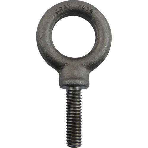 Alloy Steel Eye Bolt, 1" Dia., 1-1/4" L, 1480 lbs. (0.74 tons)/1480 lbs. Capacity Haskins Industrial Inc.