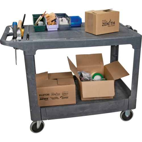 Flat-Shelf Utility Service Cart, 2 Tiers, 25-1/4" x 32-1/4" x 44", 550 lbs. Capacity Haskins Industrial Inc.