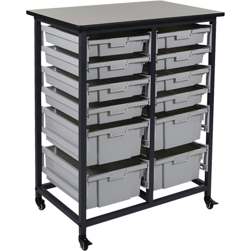 Rangement mobile pour bacs, &agrave; un c&ocirc;t&eacute;, 12 bacs, 30-3/4" la x 20" p x 37-1/2" h Haskins Industrial Inc.