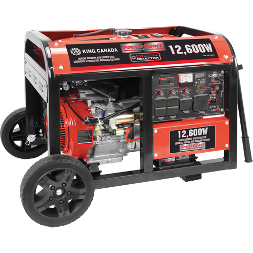 Gasoline Generator with Electric Start, 12600 W Surge, 9000 W Rated, 120 V/240 V, 31 L Tank Haskins Industrial Inc.