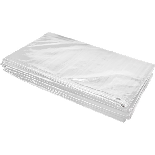 B&acirc;che isol&eacute;e, Poly&eacute;thyl&egrave;ne, Blanc, 20' x 12' x 8 mils Haskins Industrial Inc.