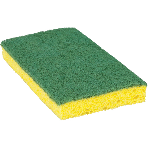 Scotch-Brite Medium Duty Scrub Sponge, Scrubbing, 3-3/5" W x 6-1/10" L Haskins Industrial Inc.