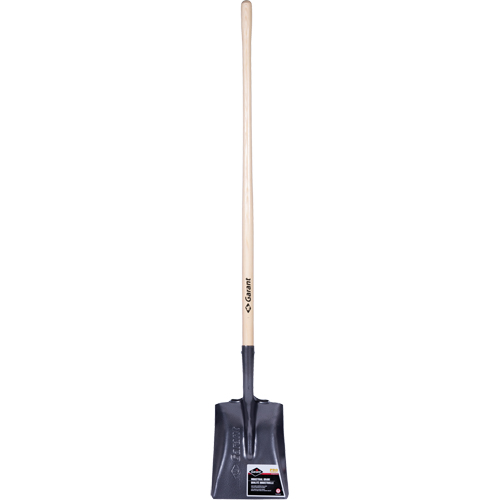 Pro Square Point Shovel, Wood, Tempered Steel Blade, Straight Handle, 48" Long Haskins Industrial Inc.