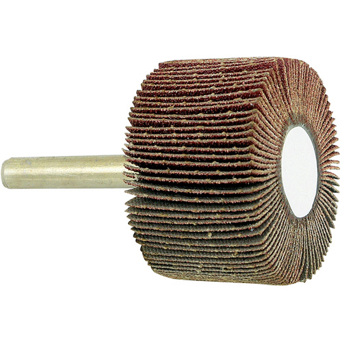 Disque &agrave; lamelles mont&eacute; sur mandrin, Grain 80, 1-1/2" x 1" x 1/4" Haskins Industrial Inc.