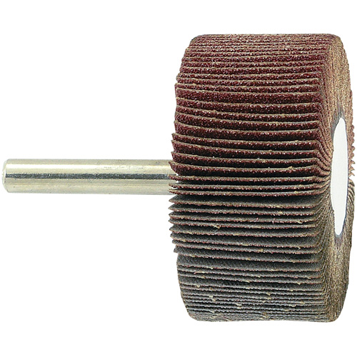 Disque &agrave; lamelles mont&eacute; sur mandrin, Grain 80, 2" x 1" x 1/4" Haskins Industrial Inc.