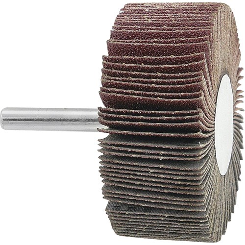 Mounted Flapwheel, 120 Grit, 2-1/2" x 1" x 1/4" Haskins Industrial Inc.