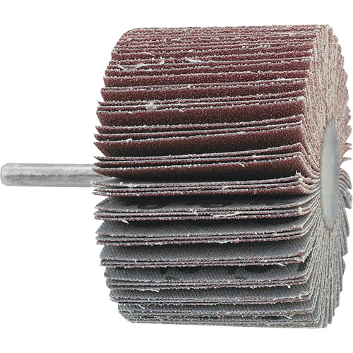 Disque &agrave; lamelles mont&eacute;, Grain 60, 3" x 1" x 1/4" Haskins Industrial Inc.
