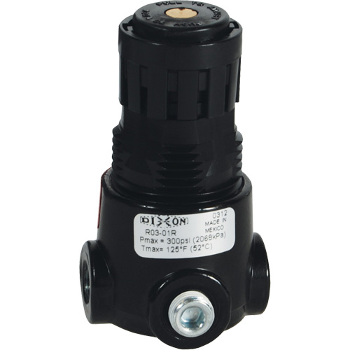 Wilkerson Miniature Regulator R03, 1/8" NPT, 300 psi Max. PSI, Standard Haskins Industrial Inc.