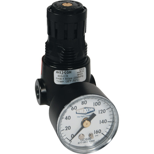 Wilkerson Miniature Regulator R04, 1/4" NPT, 300 psi Max. PSI, Standard Haskins Industrial Inc.