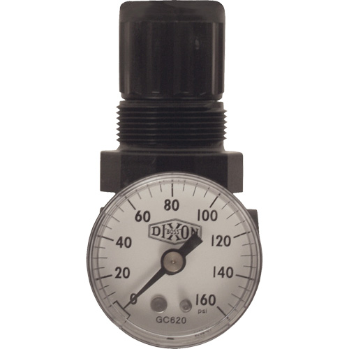 Series 1 Miniature Regulator, 1/8" NPT, 100 psi Max. PSI, Standard Haskins Industrial Inc.