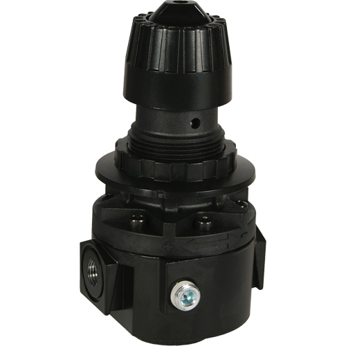 Wilkerson Regulator R26, 1/2" NPT, 300 psi Max. PSI, Standard Haskins Industrial Inc.