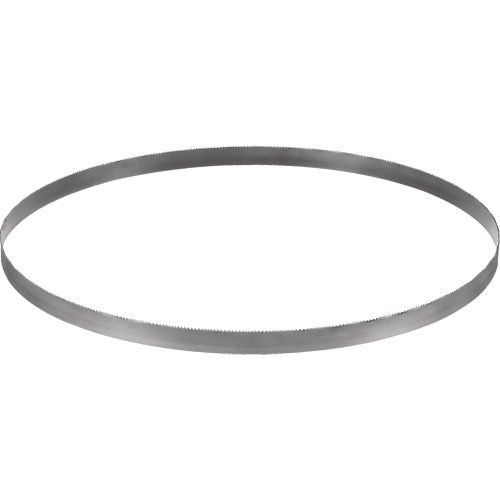 Cordless Band Saw Blade, Bi-Metal, 32-7/8" L x 0.02" Thick, 14-18 TPI Haskins Industrial Inc.
