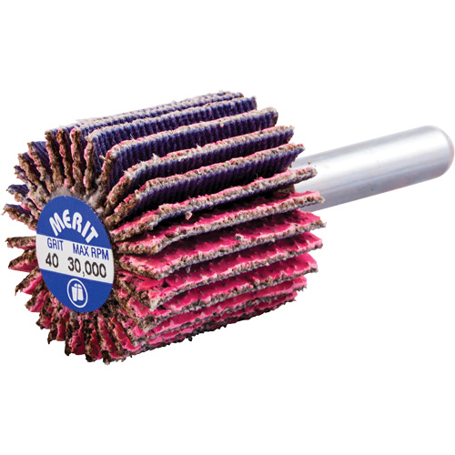 Mini-meule &agrave; lamelles mont&eacute;e sur tige, C&eacute;ramique d'alumine, Grain 40, 1" x 1" x 1/4" Haskins Industrial Inc.