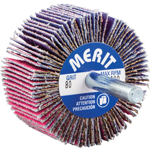 Shank Mounted Mini Flap Wheel, Ceramic Alumina, 80 Grit, 2" x 1" x 1/4" Haskins Industrial Inc.