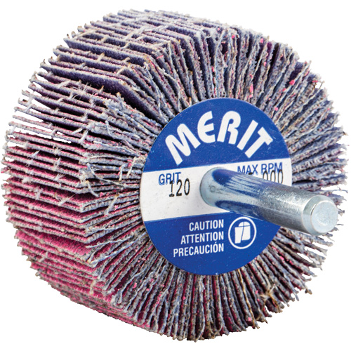 Shank Mounted Mini Flap Wheel, Ceramic Alumina, 120 Grit, 2" x 1" x 1/4" Haskins Industrial Inc.