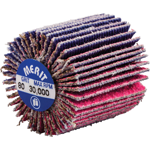 Mini-meule &agrave; lamelles filet&eacute;es, C&eacute;ramique d'alumine, Grain 80, 1" x 1" x 1/4"-20 Haskins Industrial Inc.