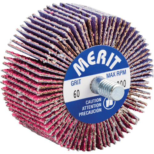 Threaded Mini Flap Wheel, Ceramic Alumina, 60 Grit, 2" x 1" x 1/4"-20 Haskins Industrial Inc.