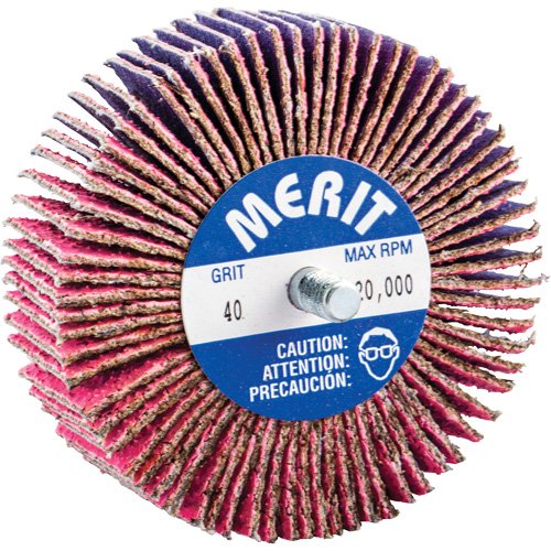 Mini-meule &agrave; lamelles filet&eacute;es, C&eacute;ramique d'alumine, Grain 40, 3" x 1" x 1/4"-20 Haskins Industrial Inc.