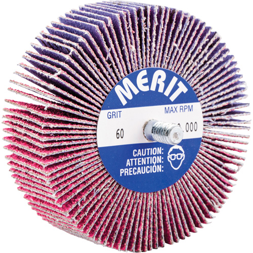 Mini-meule &agrave; lamelles filet&eacute;es, C&eacute;ramique d'alumine, Grain 60, 3" x 1" x 1/4"-20 Haskins Industrial Inc.