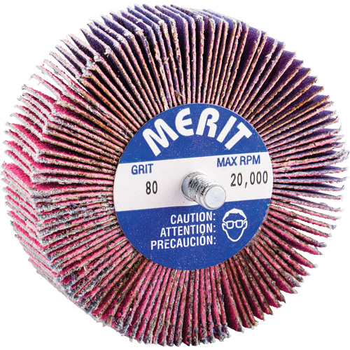 Mini-meule &agrave; lamelles filet&eacute;es, C&eacute;ramique d'alumine, Grain 80, 3" x 1" x 1/4"-20 Haskins Industrial Inc.