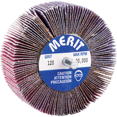 Mini-meule &agrave; lamelles filet&eacute;es, C&eacute;ramique d'alumine, Grain 120, 3" x 1" x 1/4"-20 Haskins Industrial Inc.