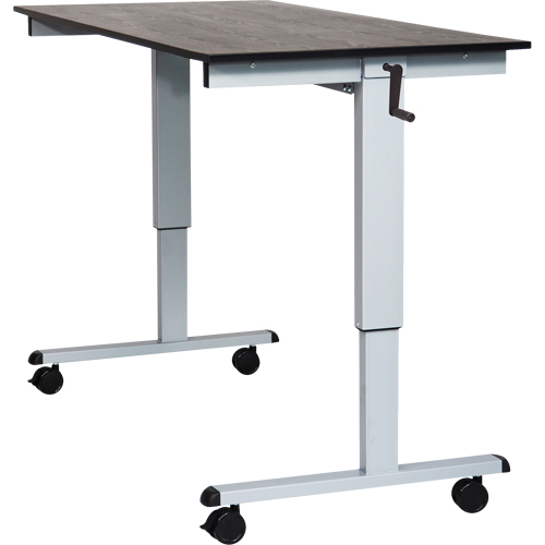 Adjustable Stand-Up Desk, Stand-Alone Desk, 48-1/2" H x 59" W x 29-1/2" D, Black Haskins Industrial Inc.