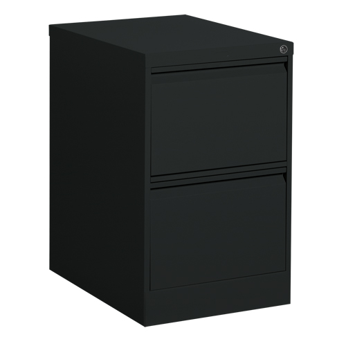 Vertical Filing Cabinet, Steel, 2 Drawers, 18-1/7" W x 25" D x 29" H, Black Haskins Industrial Inc.