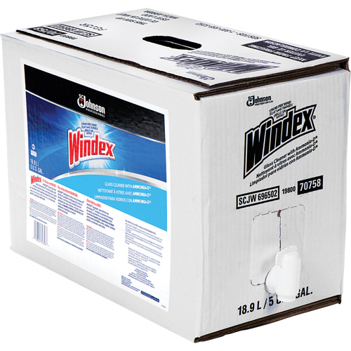 Windex&reg; Glass Cleaner with Ammonia-D&reg;, 5 gal., Bag Haskins Industrial Inc.