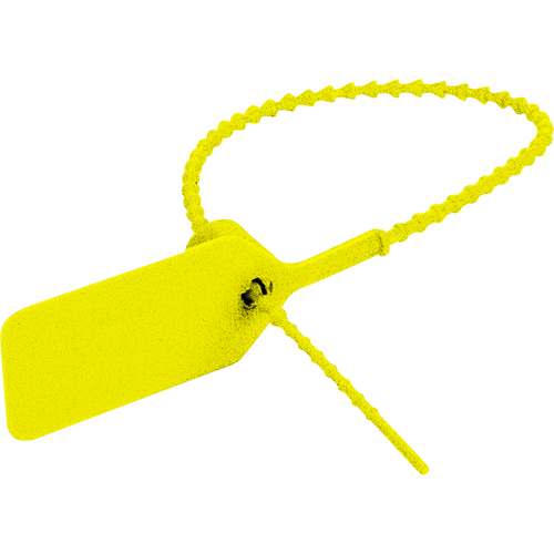 Scell&eacute; de s&eacute;curit&eacute; emboss&eacute; Pull-Tite II – Sealed Do Not Remove, 9", Plastique, Pousser et tirer Haskins Industrial Inc.