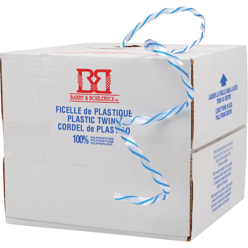 Ficelle d'arrimage, Polypropyl&egrave;ne, 1450' Longueur Haskins Industrial Inc.