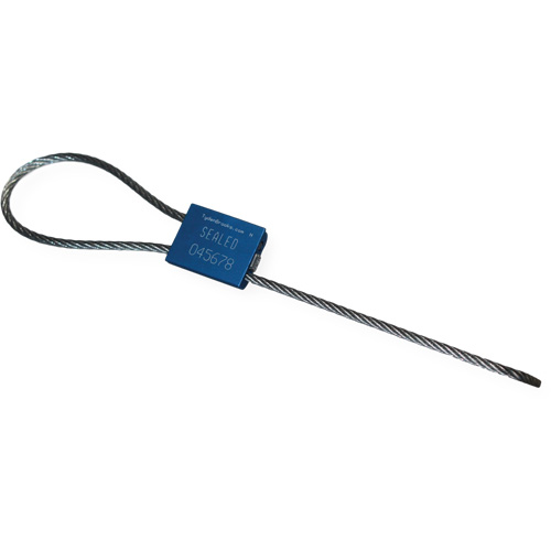 Scell&eacute; de s&eacute;curit&eacute; &agrave; c&acirc;ble Flexsecure FS35, 12", M&eacute;tal, Scell&eacute; &agrave; c&acirc;ble Haskins Industrial Inc.