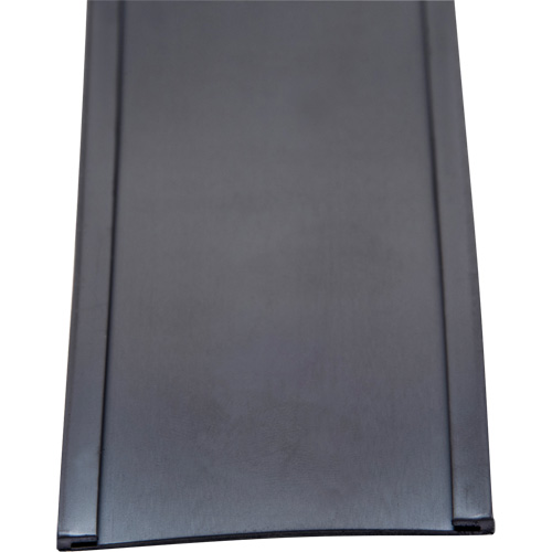 Card Holder, Magnetic, 600" L x 2" W Haskins Industrial Inc.