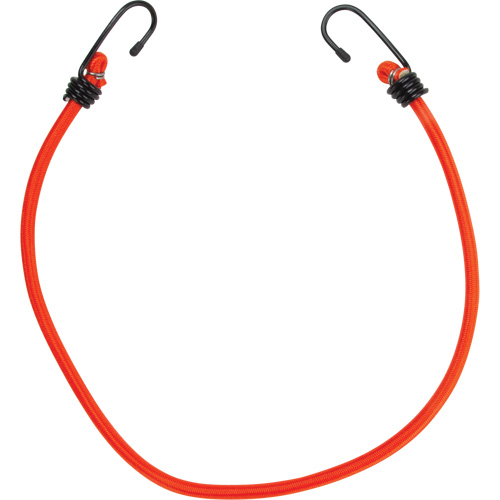 Bungee Cord Tie Downs, 24" Haskins Industrial Inc.
