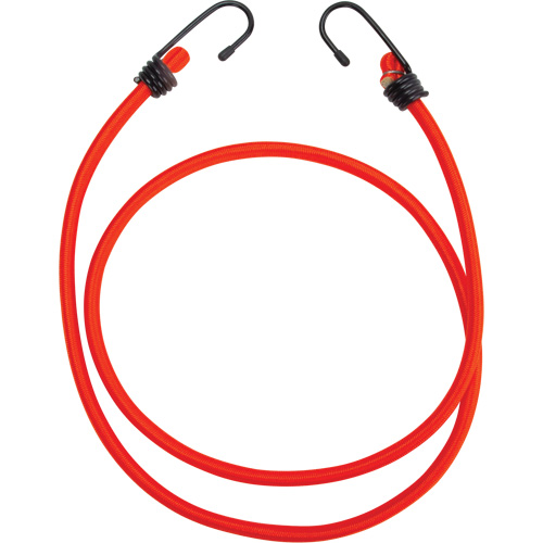 Bungee Cord Tie Downs, 48" Haskins Industrial Inc.
