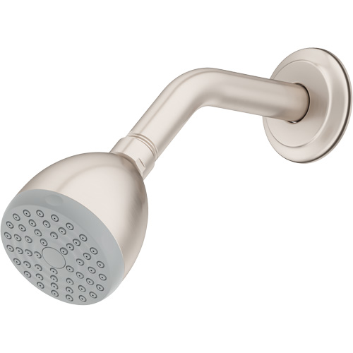 Pomme de douche monofonctionnelle Haskins Industrial Inc.